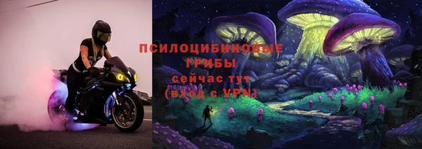 мет Горно-Алтайск
