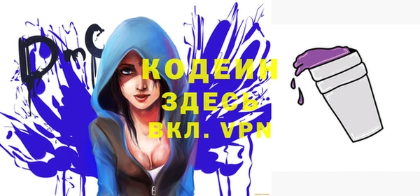 гашик Горняк