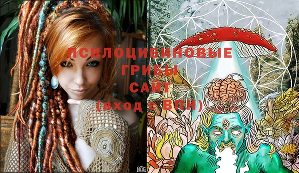 дурь Горнозаводск