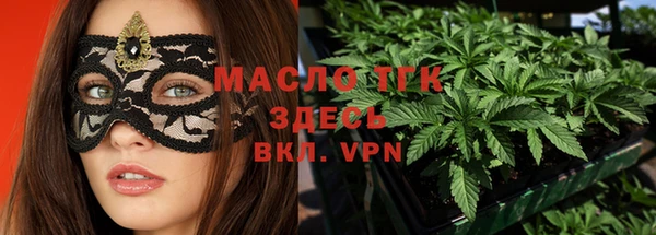 гашик Горняк