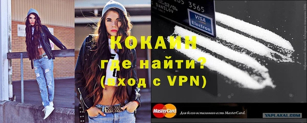 гашик Горняк