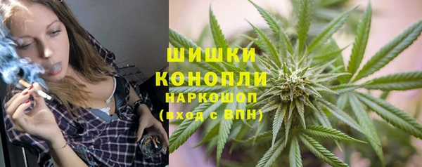 гашик Горняк