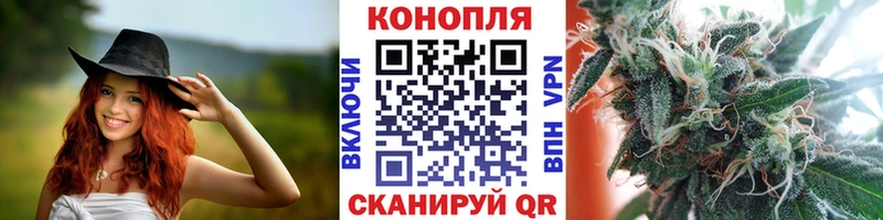 Канабис AK-47  Отрадная 